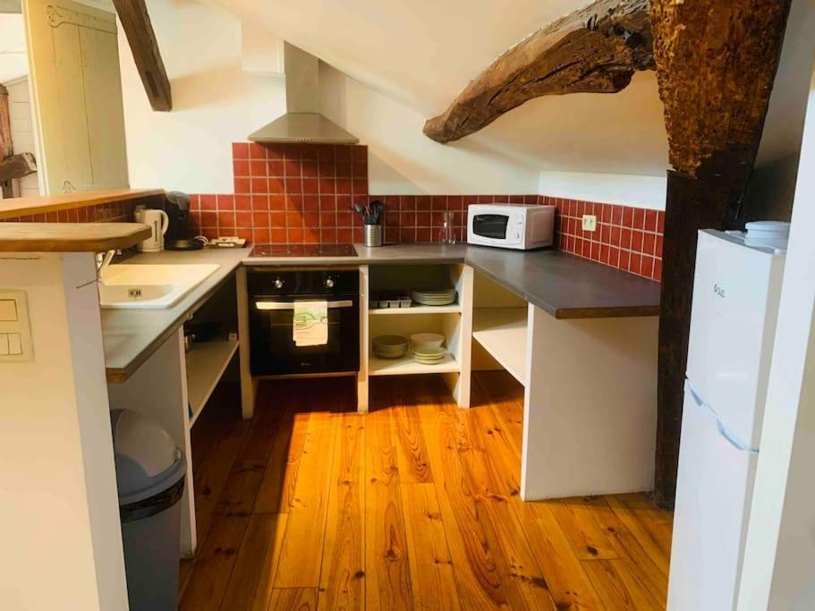 Spacieux Appartement En Plein Coeur De Castres Castres  Exteriör bild